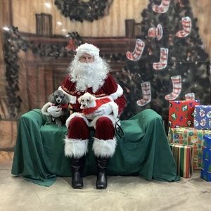 Meet your Posher, Colette